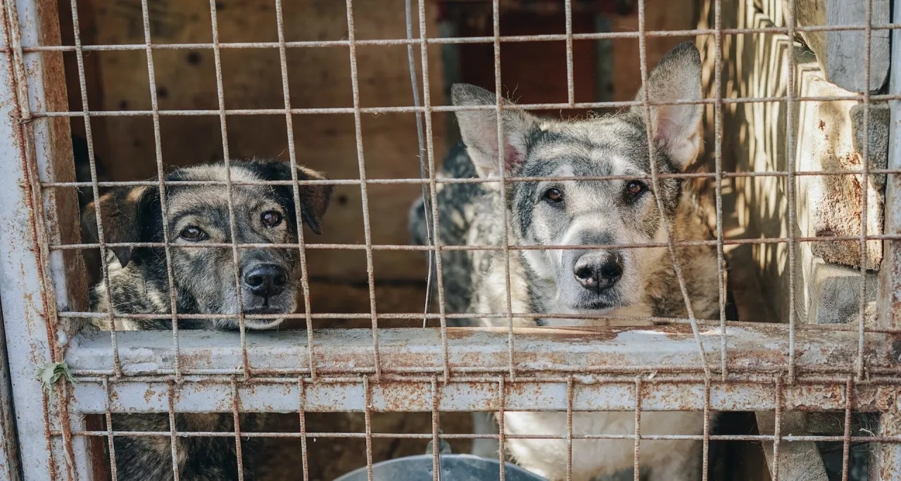 Czy schronisko może odmówić noclegu? Poznaj ważne zasady i sytuacje