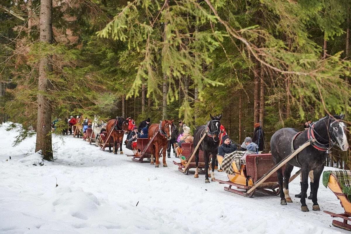Kuligi Bukowina Tatrzańska - Przeżyj niezapomniane chwile w Tatrach