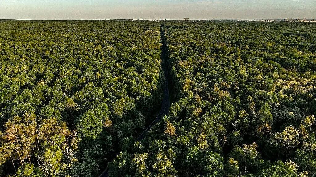 Najbliższe góry z Łodzi - idealne miejsca na weekendowe wypady